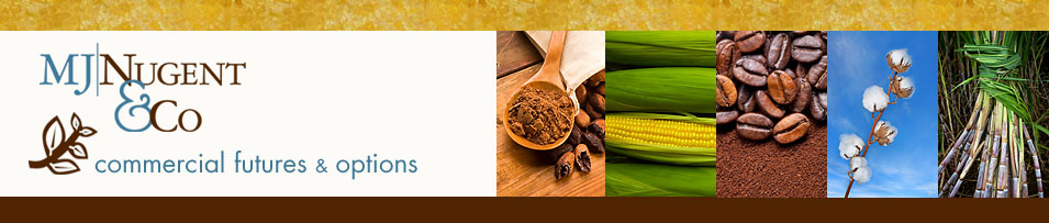 Institutional Investment Manager